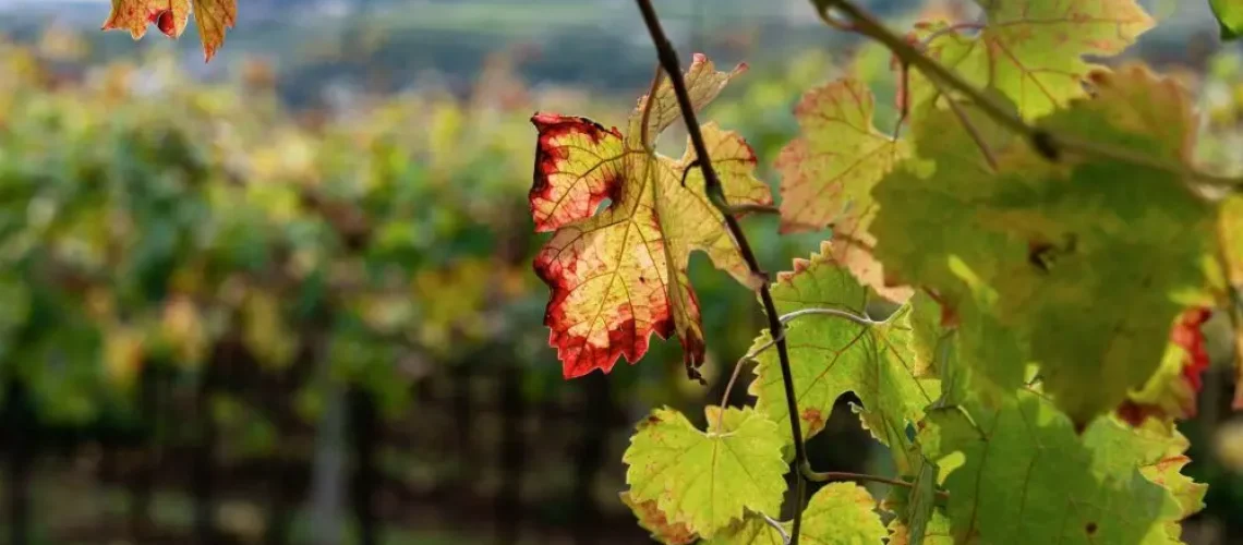 autunno